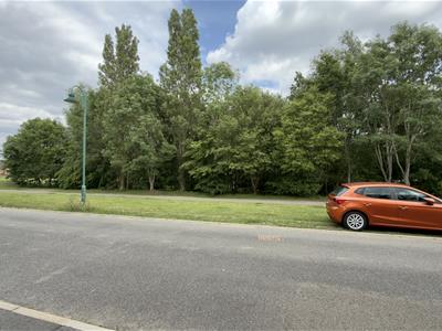 Picture 20